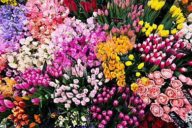 《被邻国王子溺爱的反派女主》Steam页面公布 不支持中文