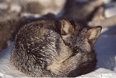 金亨泰承认《星刃》剧情质量存在遗憾 将在续作中改进